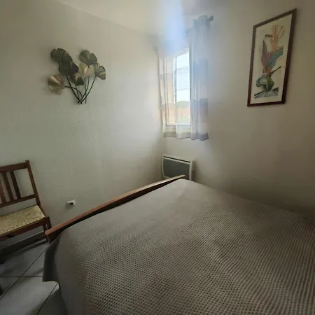 T2 Climatise Avec Piscine Et Parking, Cap D'agde, Pres De La - Fr-1-607-226 Apartament Agde