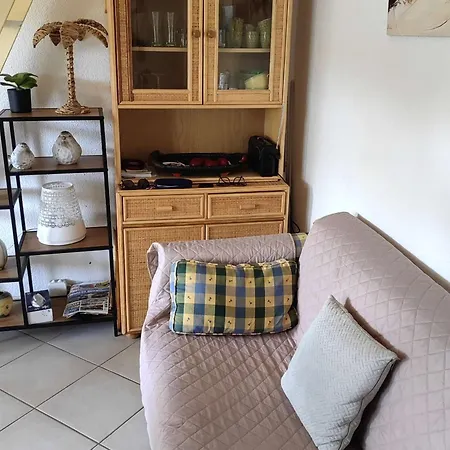 Apartament T2 Climatise Avec Piscine Et Parking, Cap D'agde, Pres De La - Fr-1-607-226 *